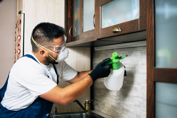 Best Pest Control Near Me in Harrisburg, PA