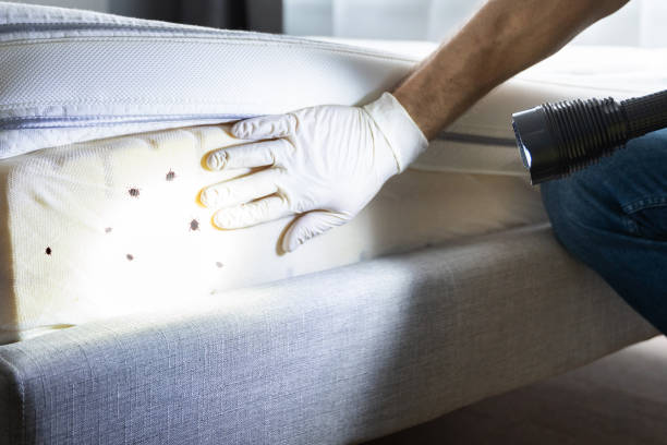 Best Commercial Pest Control Services  in Harrisburg, PA