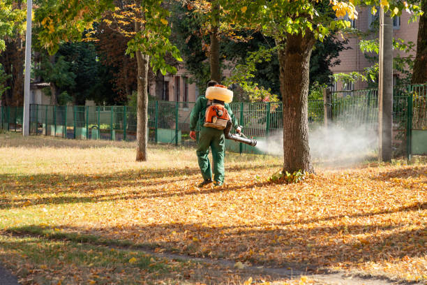 Insect Control in Harrisburg, PA