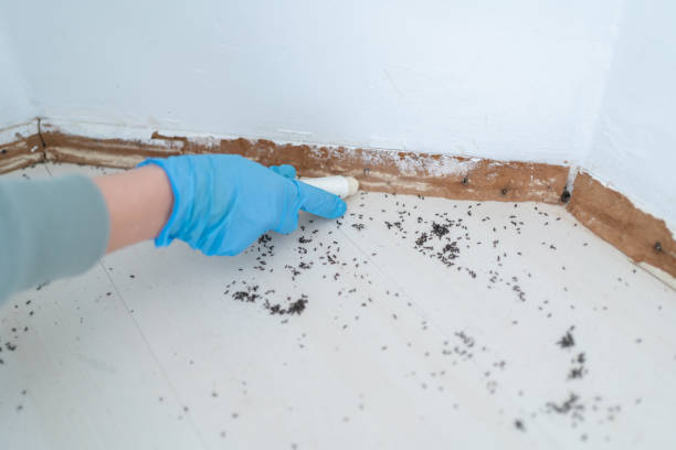 Best Pest Removal Services  in Harrisburg, PA
